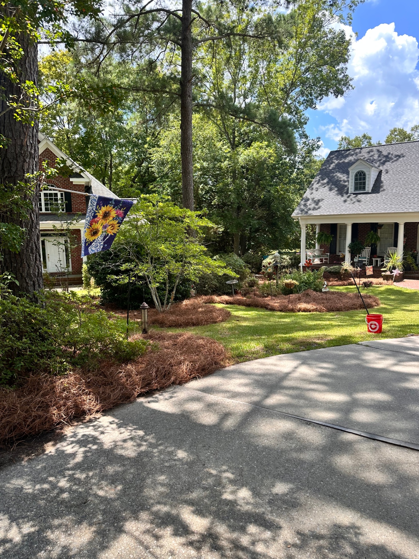 Bush & Tree Trimming